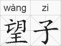 望子的拼音