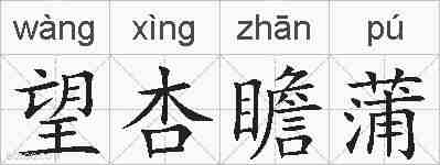 望杏瞻蒲的拼音
