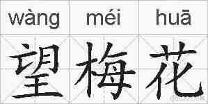 望梅花的拼音