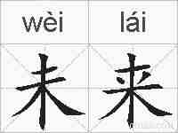未来的拼音