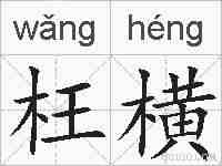 枉横的拼音