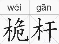 桅杆的拼音