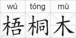 梧桐木的拼音