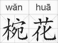 椀花的拼音