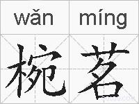 椀茗的拼音