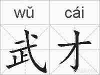 武才的拼音