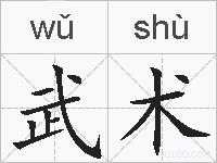 武术的拼音