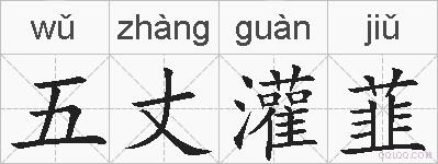 五丈灌韮的拼音