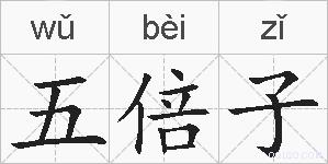 五倍子的拼音