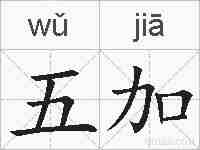 五加的拼音