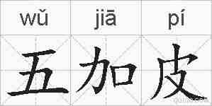 五加皮的拼音