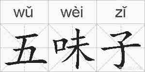 五味子的拼音
