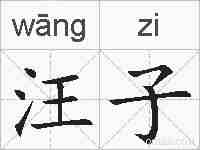 汪子的拼音