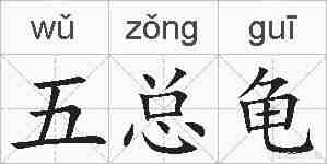 五总龟的拼音