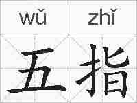五指的拼音