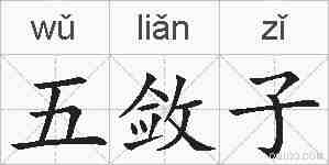 五敛子的拼音