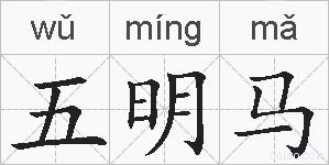 五明马的拼音