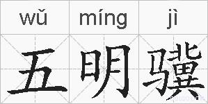五明骥的拼音