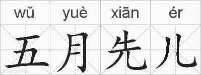 五月先儿的拼音