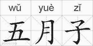 五月子的拼音