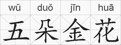 五朵金花的拼音