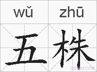 五株的拼音