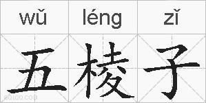 五棱子的拼音