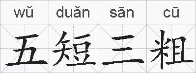 五短三粗的拼音