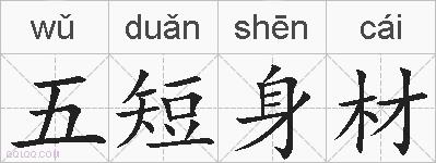 五短身材的拼音