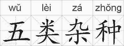 五类杂种的拼音