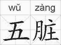 五脏的拼音