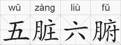 五脏六腑的拼音