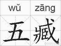 五臧的拼音