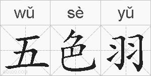 五色羽的拼音