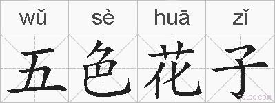 五色花子的拼音