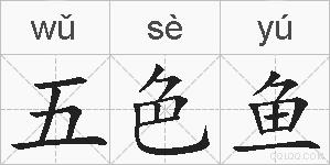 五色鱼的拼音