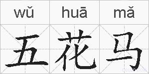 五花马的拼音