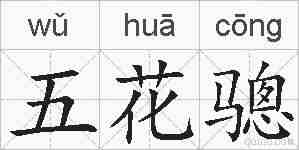 五花骢的拼音