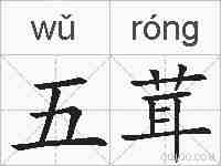 五茸的拼音