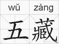 五藏的拼音