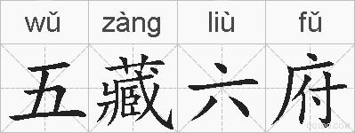 五藏六府的拼音