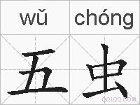五虫的拼音