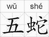 五蛇的拼音