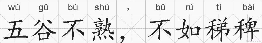 五谷不熟，不如稊稗的拼音