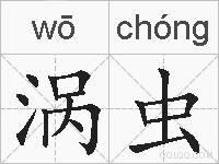 涡虫的拼音