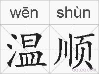 温顺的拼音