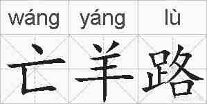 亡羊路的拼音