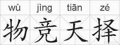 物竞天择的拼音
