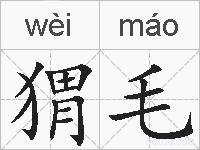 猬毛的拼音