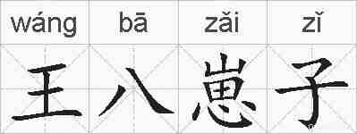 王八崽子的拼音